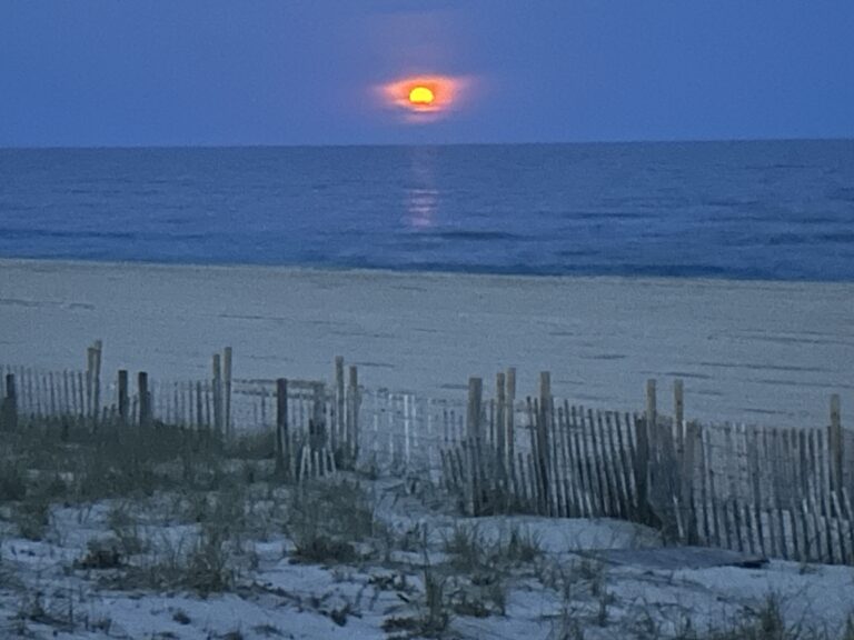 Moonrise
